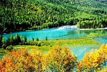 【大疆南北】烏魯木齊、喀納斯、禾木、那拉提、獨庫公路雙臥14天